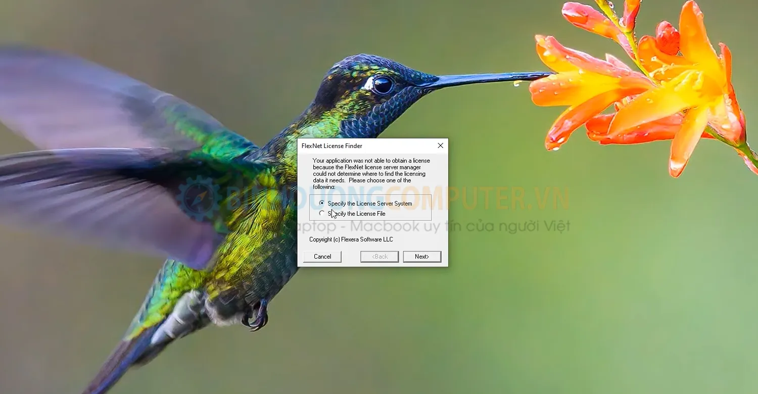 Sửa lỗi FlexNet License Finder dễ dàng 
