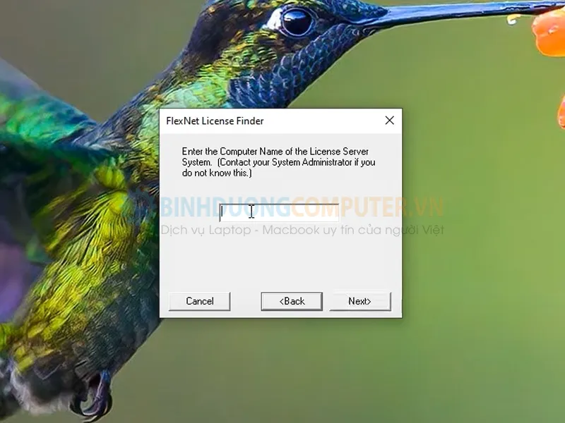 Sửa lỗi FlexNet License Finder dễ dàng 