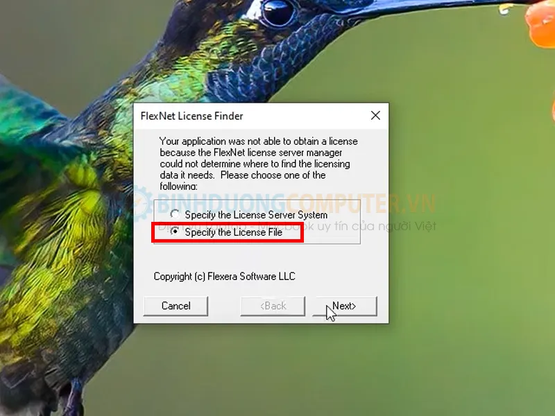 Sửa lỗi FlexNet License Finder dễ dàng 