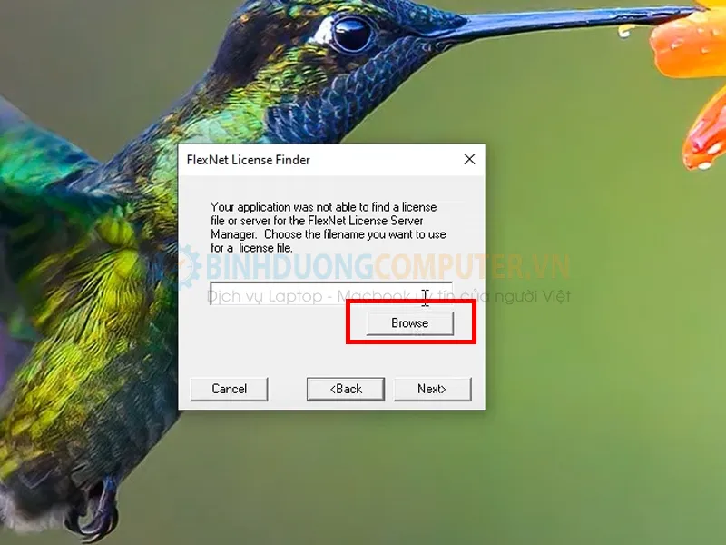 Sửa lỗi FlexNet License Finder dễ dàng 