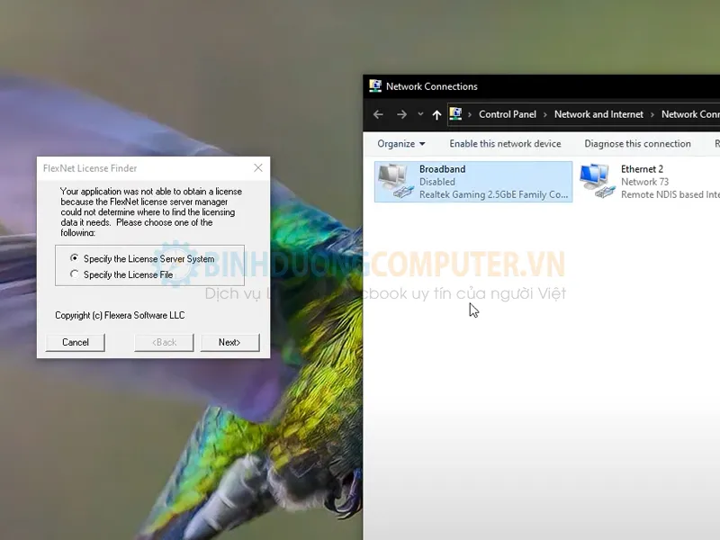 Sửa lỗi FlexNet License Finder dễ dàng 