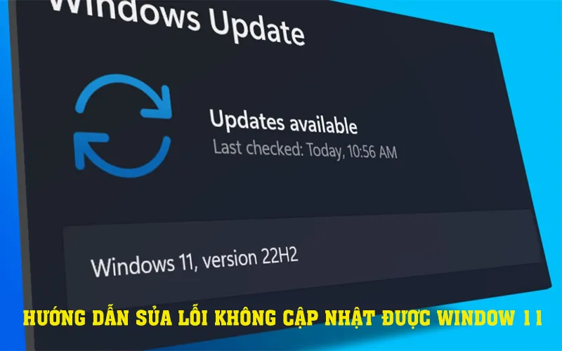 Hướng dẫn sửa lỗi không cập nhật được Win 11